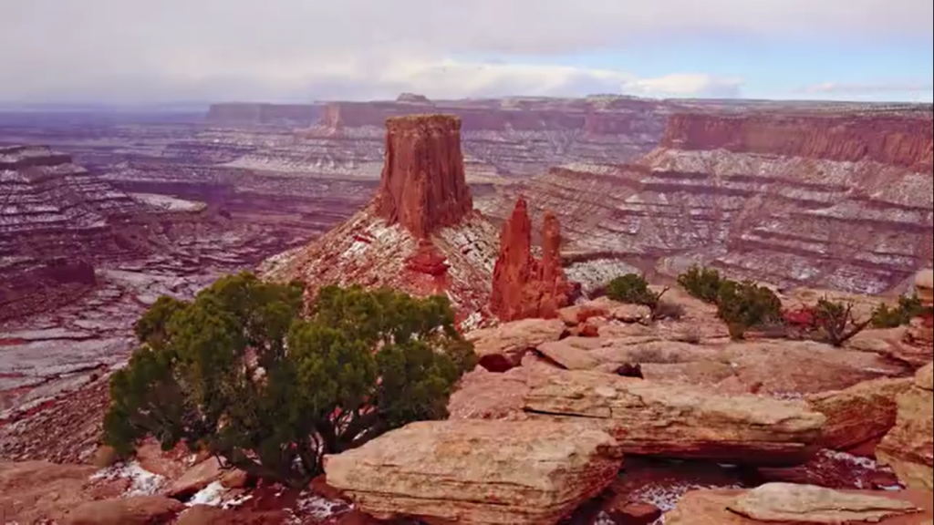 arizona