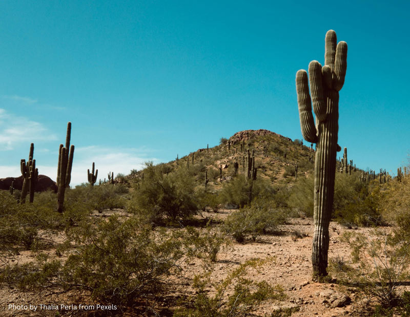 Mortgage Broker Licensing